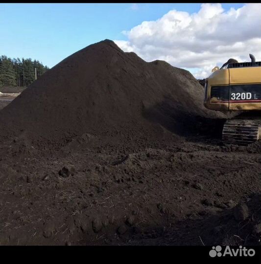 Чернозем плодородный