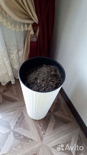 Кашпо для цветов