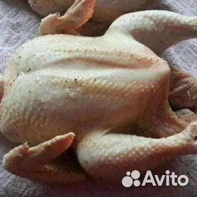 Мясо домашнего броллера