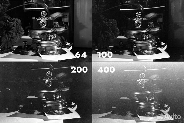 Фотопленка ч/б Свема кн-2 проявка, печать