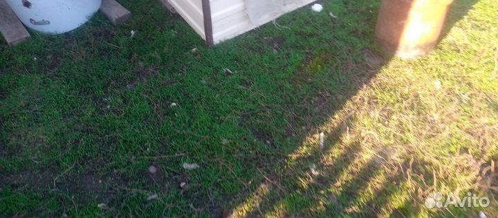 Бу утепленная собачья будка