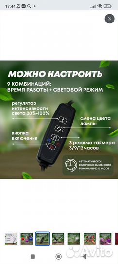 Фито лампа для растений