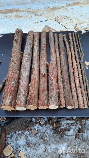 Украшение и польза для здоровья