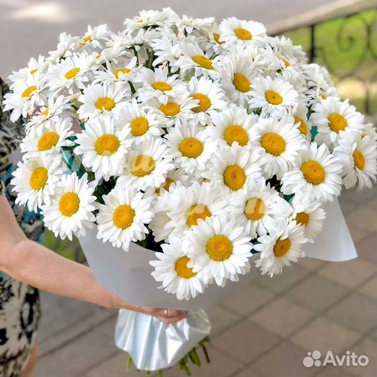 Букет из ромашек