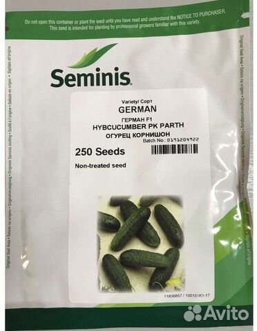 Профессиональные семена огурцов Герман F1 seminis
