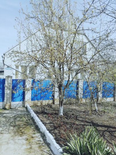 Дом 172,8 м² на участке 7 сот.