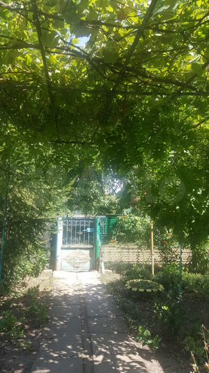 Дача 50 м² на участке 21 сот.