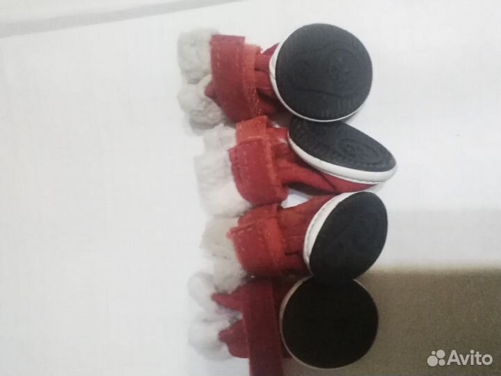 Ботинки зимние для собак бу