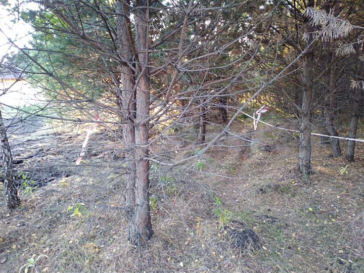 Участок 15,4 сот. (ИЖС)