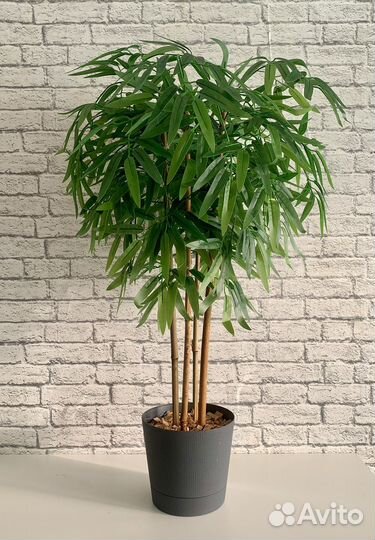Искусственный бамбук