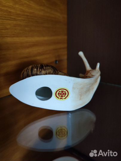 Статуэтка фарфор Улитка подарок сувенир