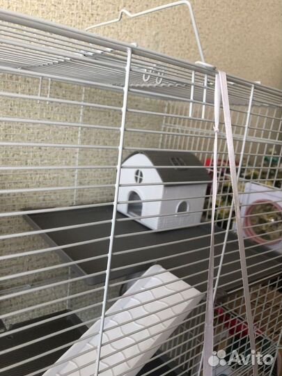 Клетка для грызунов бу