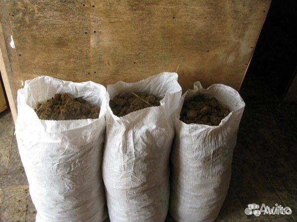 Оптом Навоз конский отборный в мешках