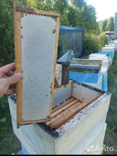 Мёд натуральный