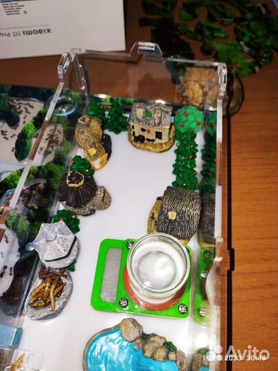 Формикарий с муравьями(муравьиная ферма)