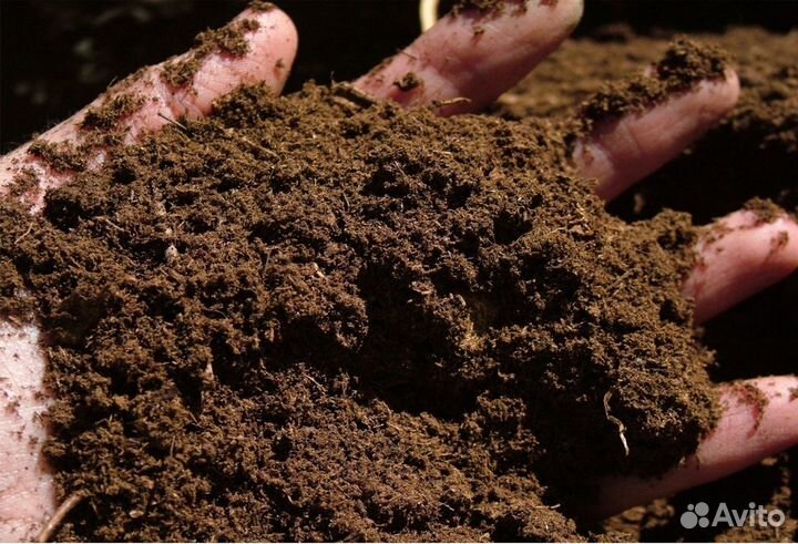 Торф низинный и верховой