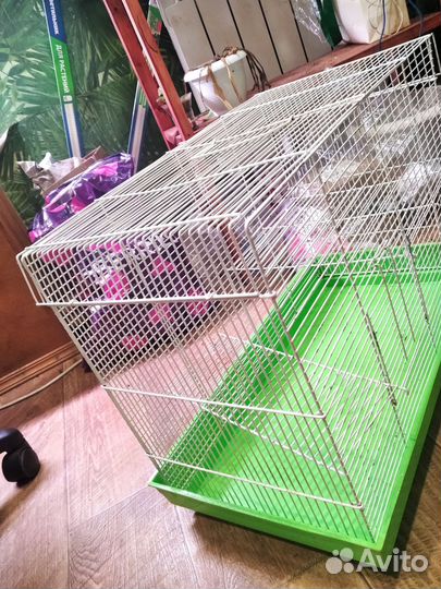 Клетка для грызунов бу