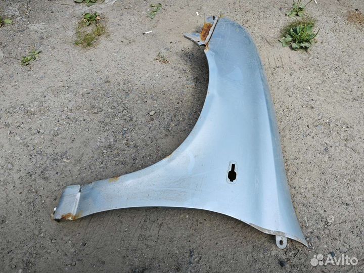 Крыло калина 1