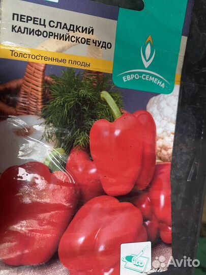 Рассада помидор и перца