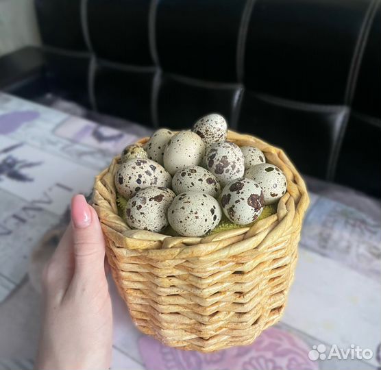 Перепелиное инкубационное яйцо (белый гигант)