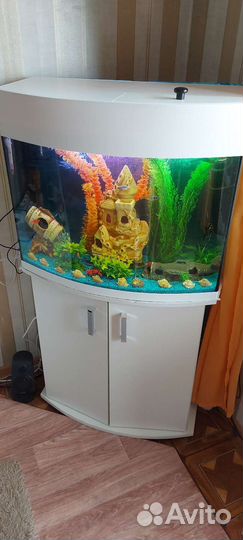 Аквариум Панорамный(непрямоуг) 105 литров с тумбой