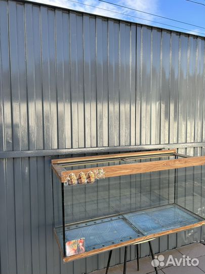 Аквариум средних размеров