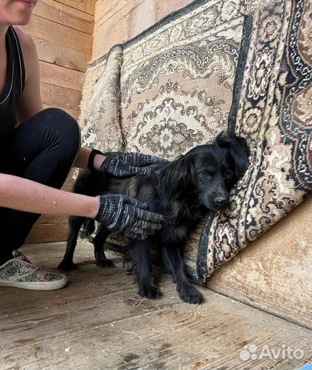 Маленькой Пуговке страшно в приюте