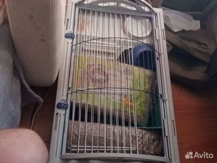 Клетка для кролика большая или морской свинки