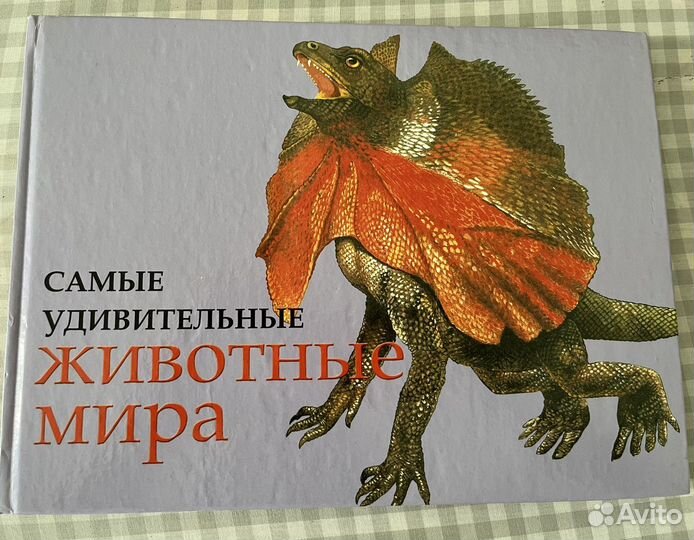 Детская книга 