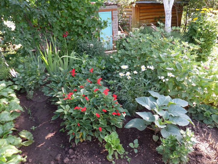 Дача 30 м² на участке 5,5 сот.