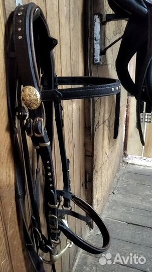 Оголовье для лошади