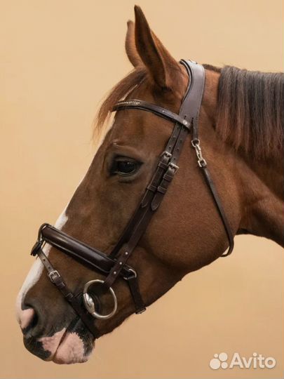 Конная амуниция бу