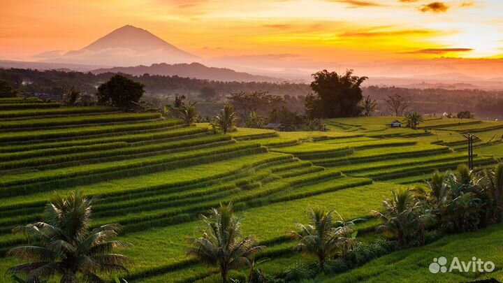 Тур на Бали / Рисовые Террасы/ Храм Батукару