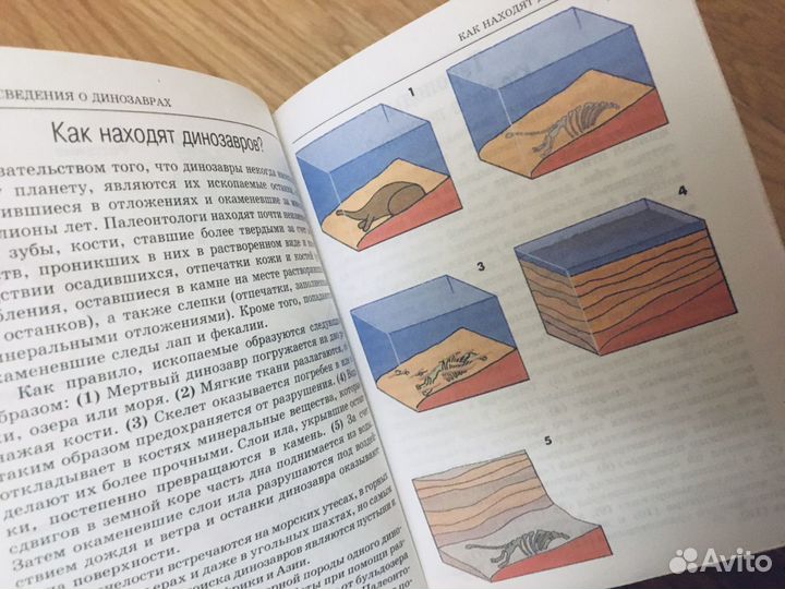 Динозавры (мини энциклопедия)