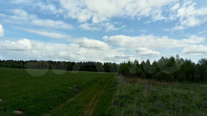 Участок 50 сот. (ИЖС)