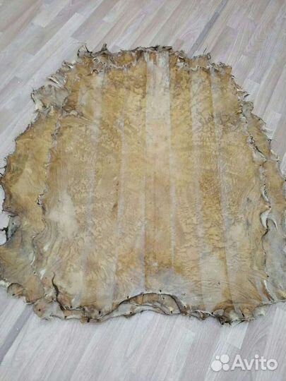 Мембрана для бубнов, пергамент из коз овец крс