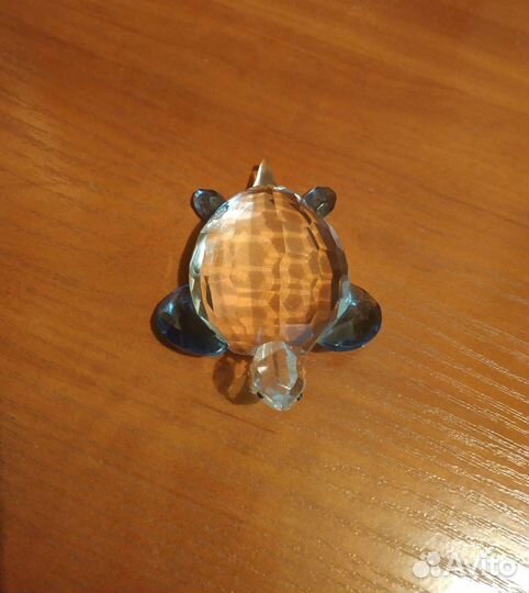 Черепаха хрустальная
