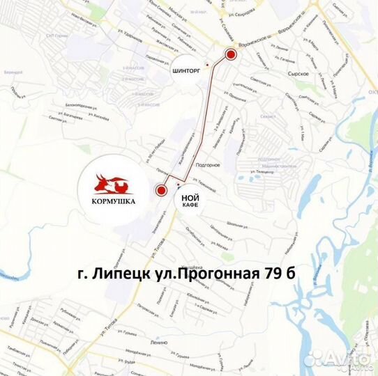 Премикс Здравур Несушка 600 г