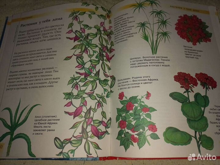 Детские энциклопедии,игры