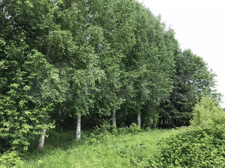 Дом 24,8 м² на участке 25 сот.