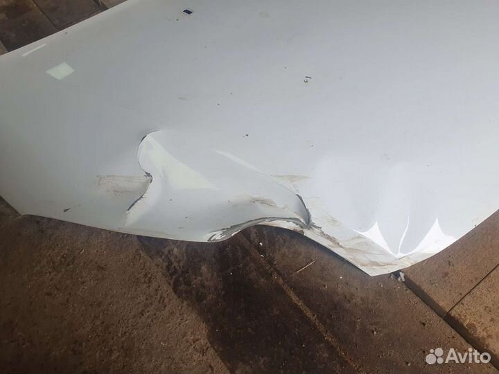 Решетка бампера Форд фокус 3