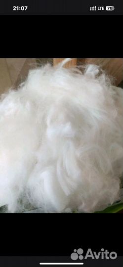 Пух кролика