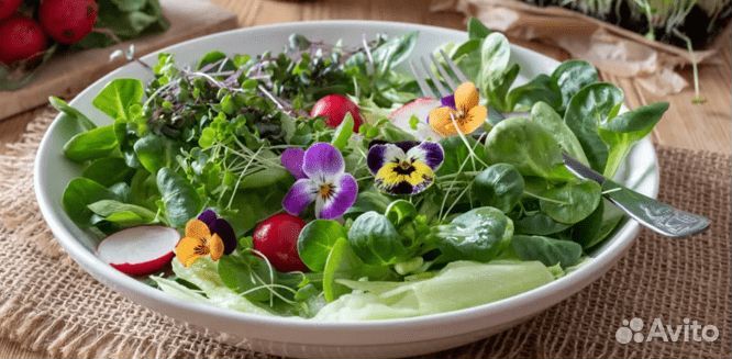 Выездной кейтеринг