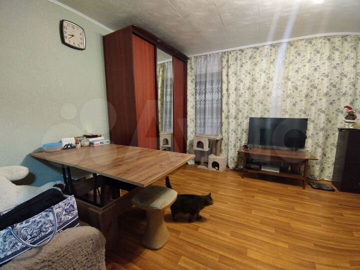 1-к. квартира, 43,7 м², 1/3 эт.