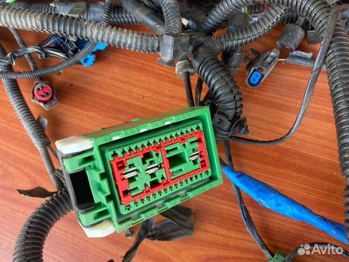 Проводка моторного отсека Ford Focus 2 седан qqdb