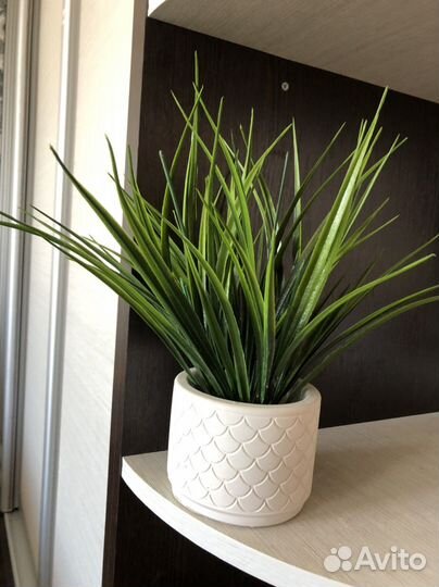 Осока, цветы интерьерные, зелень искусственная