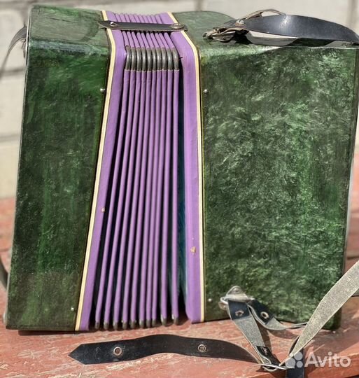 Аккордеон малыш