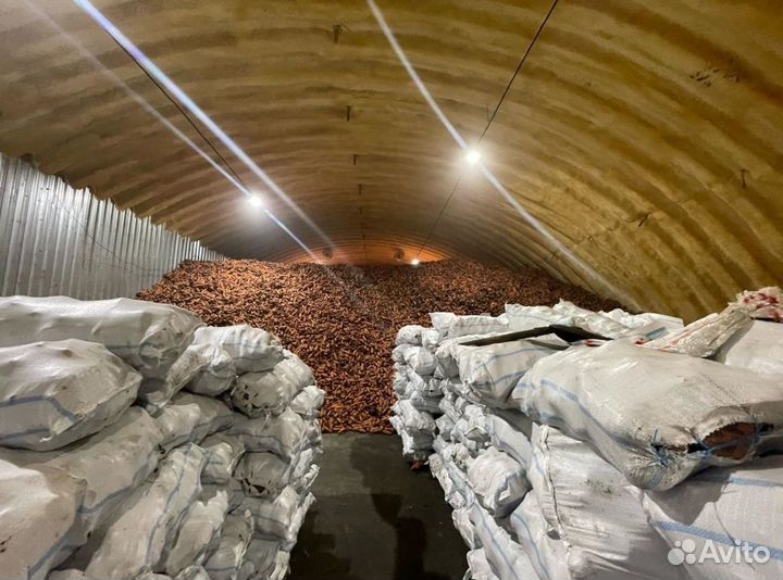 Вентиляционное оборудование для лука