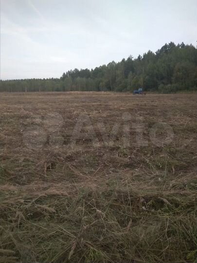 Участок 5,6 га (СНТ, ДНП)