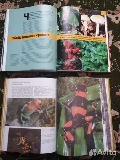 Книги разные